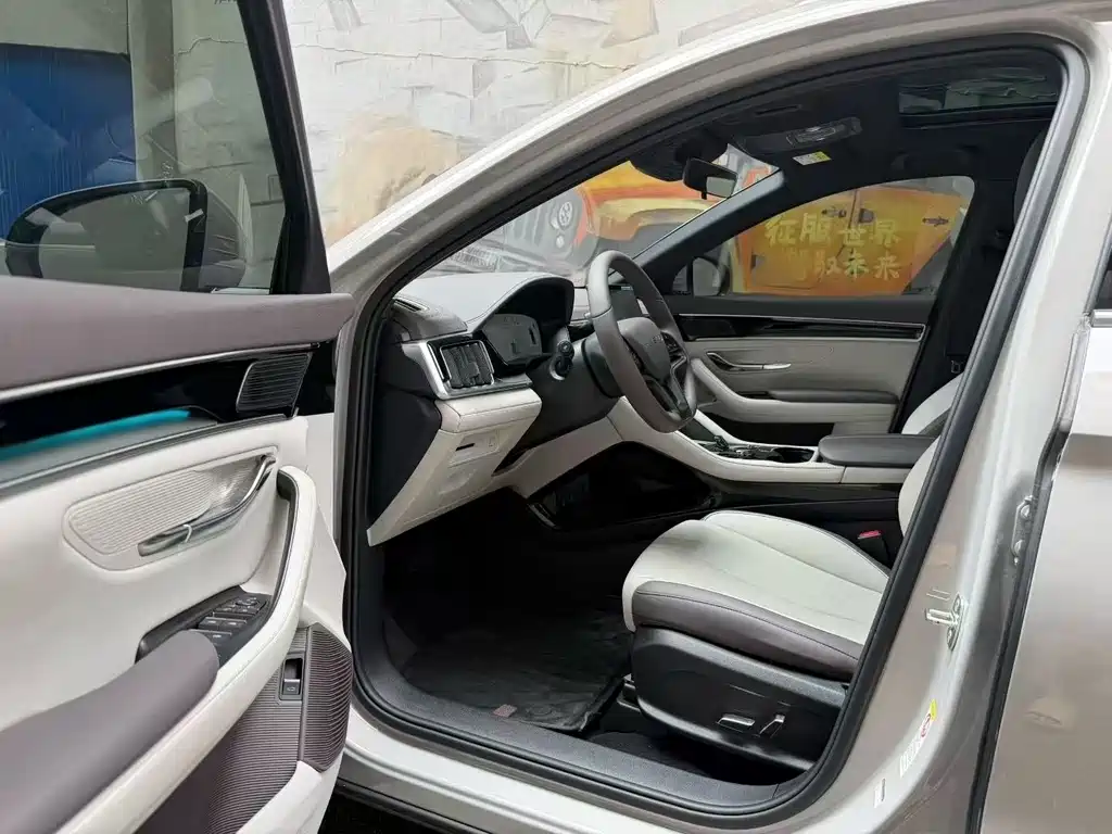 BYD PLUS New Energy — миниатюра 7