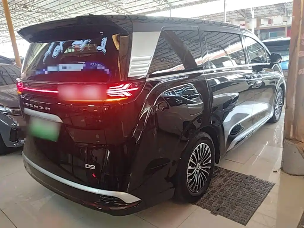 Denza Denza D9 — миниатюра 7