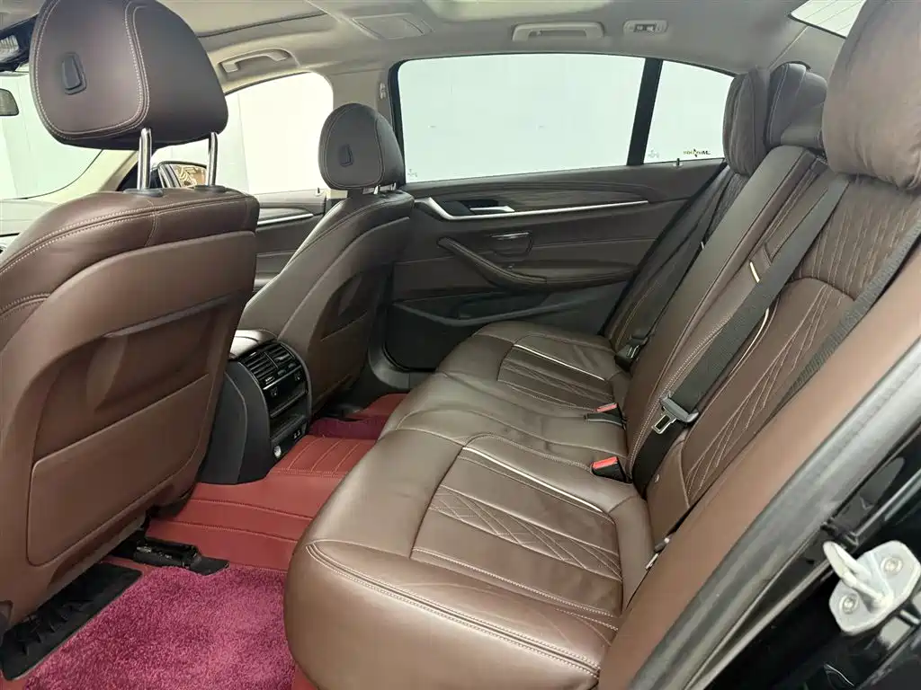 BMW 5 Series 5 2020 530Li Lead Luxury