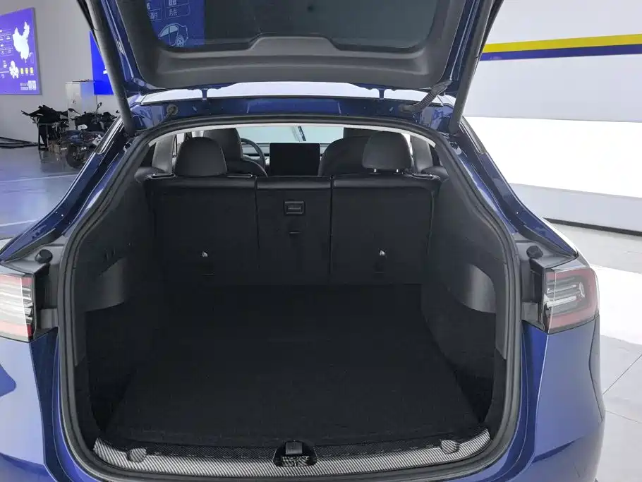 Tesla Model Y — миниатюра 4