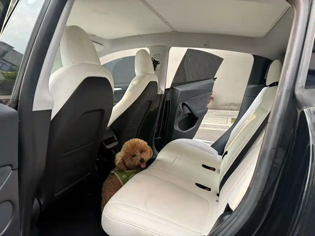 Tesla Model Y — миниатюра 9