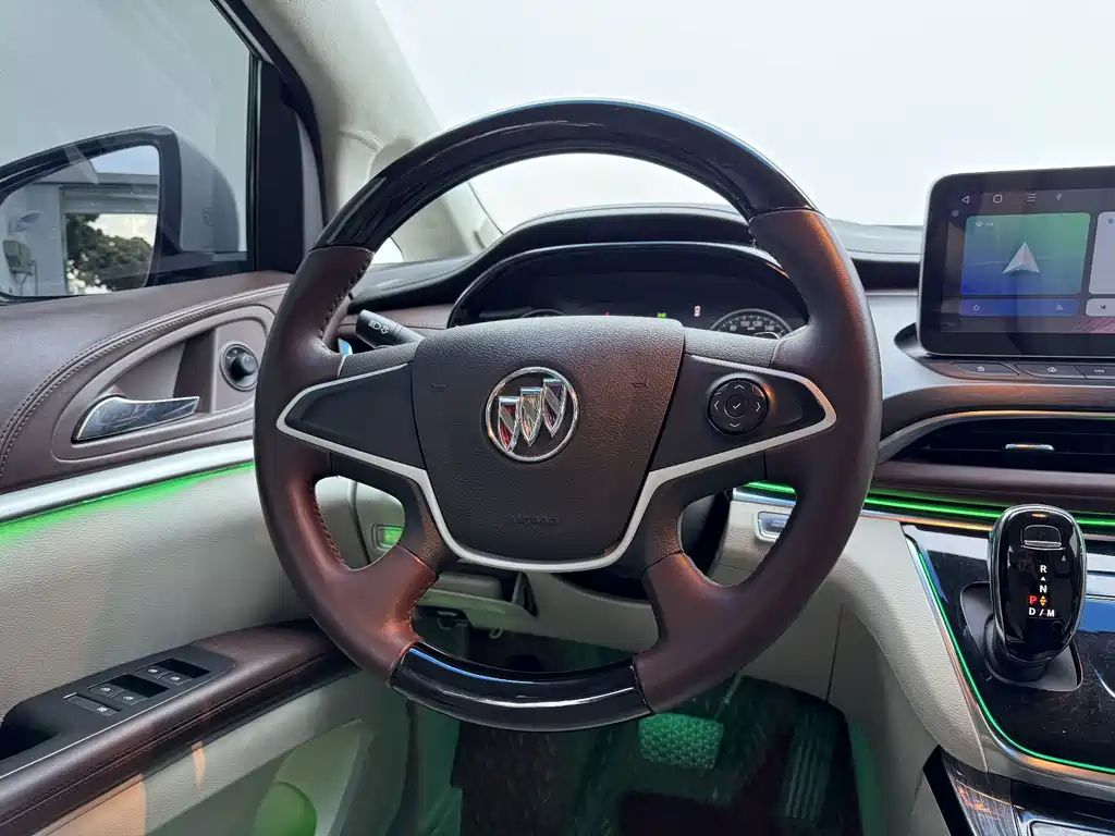 Buick GL8 — миниатюра 13