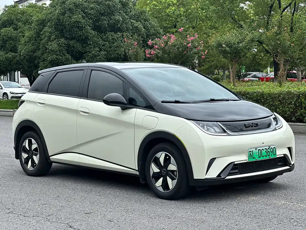 BYD Dolphin — миниатюра 3