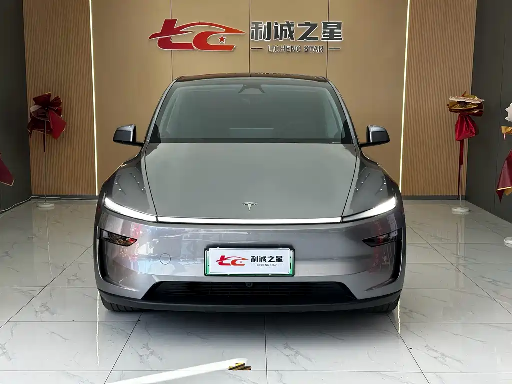Tesla Model Y — миниатюра 2