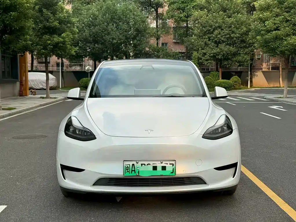 Tesla Model Y — миниатюра 4