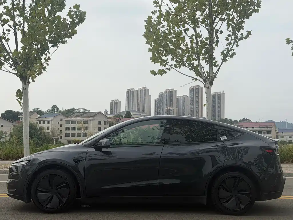 Tesla Model Y — миниатюра 20