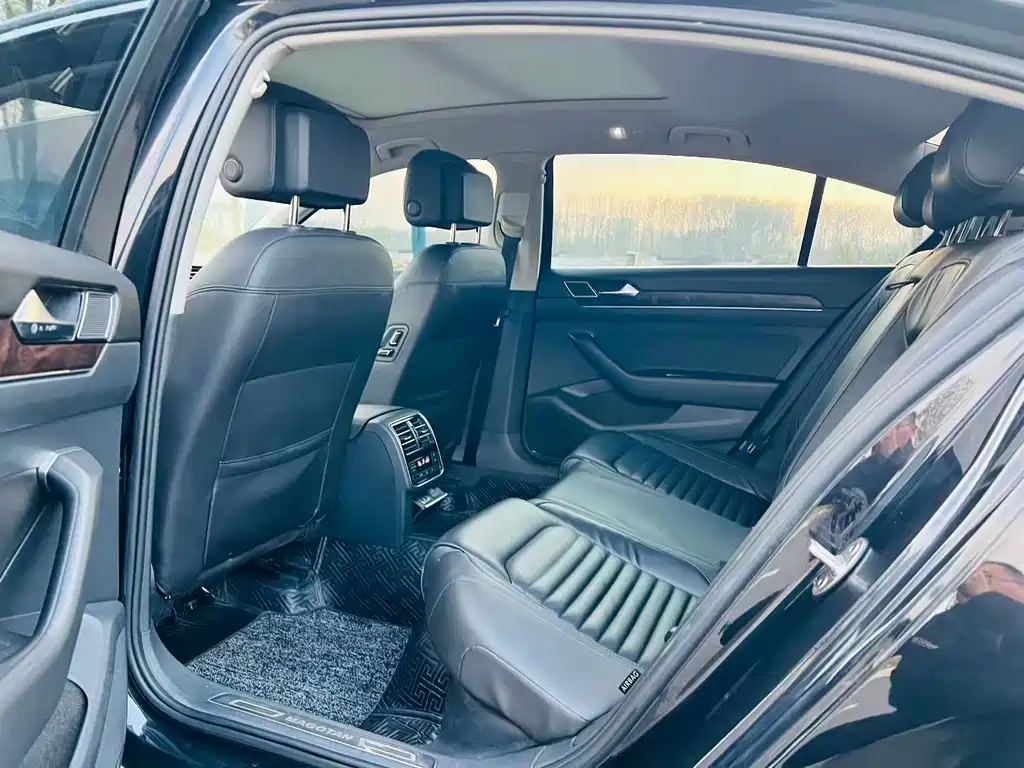 Volkswagen Magotan 2019 330TSI DSG Luxury VI