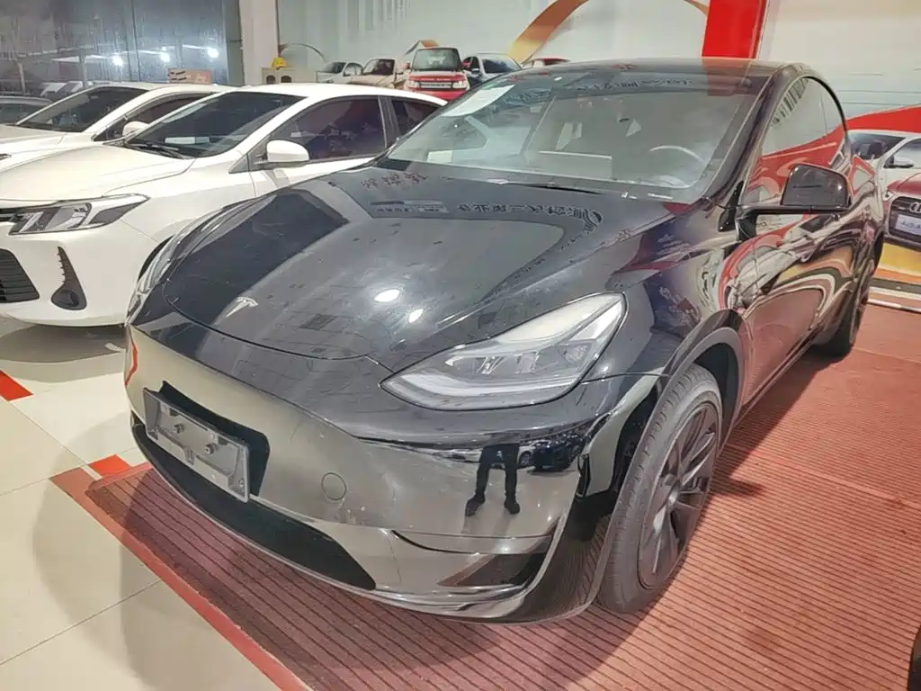 Tesla Model Y — миниатюра 2