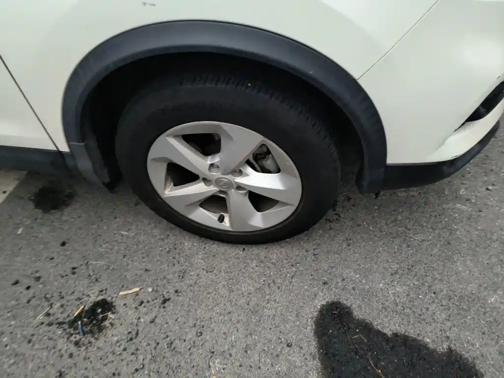 Nissan Qashqai — миниатюра 25