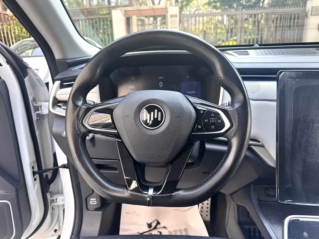 WM Motor EX5 — миниатюра 6