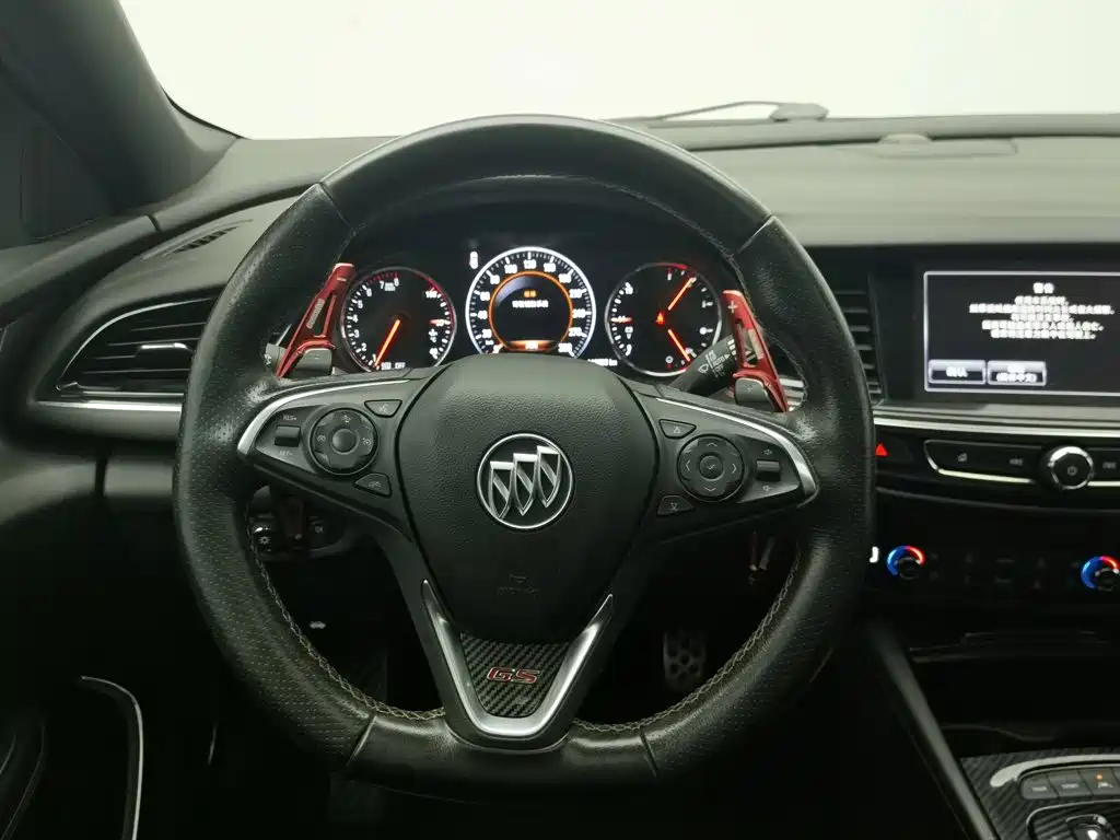 Buick Regal — миниатюра 11