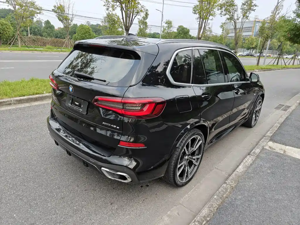 BMW X5 New Energy (Import) — миниатюра 6
