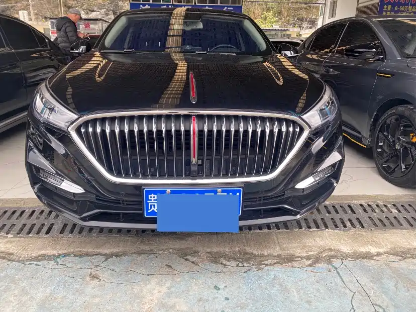 Hongqi Hongqi H5 2021