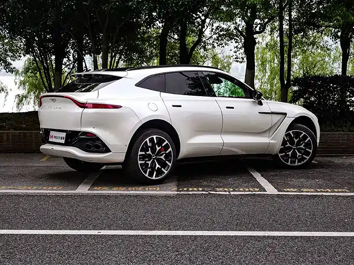 Aston Martin DBX 2020 4.0T V8 1913