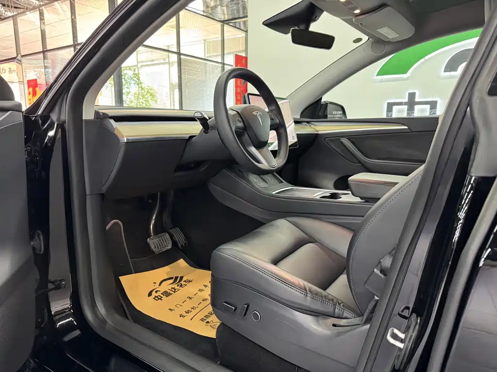 Tesla Model Y — миниатюра 7