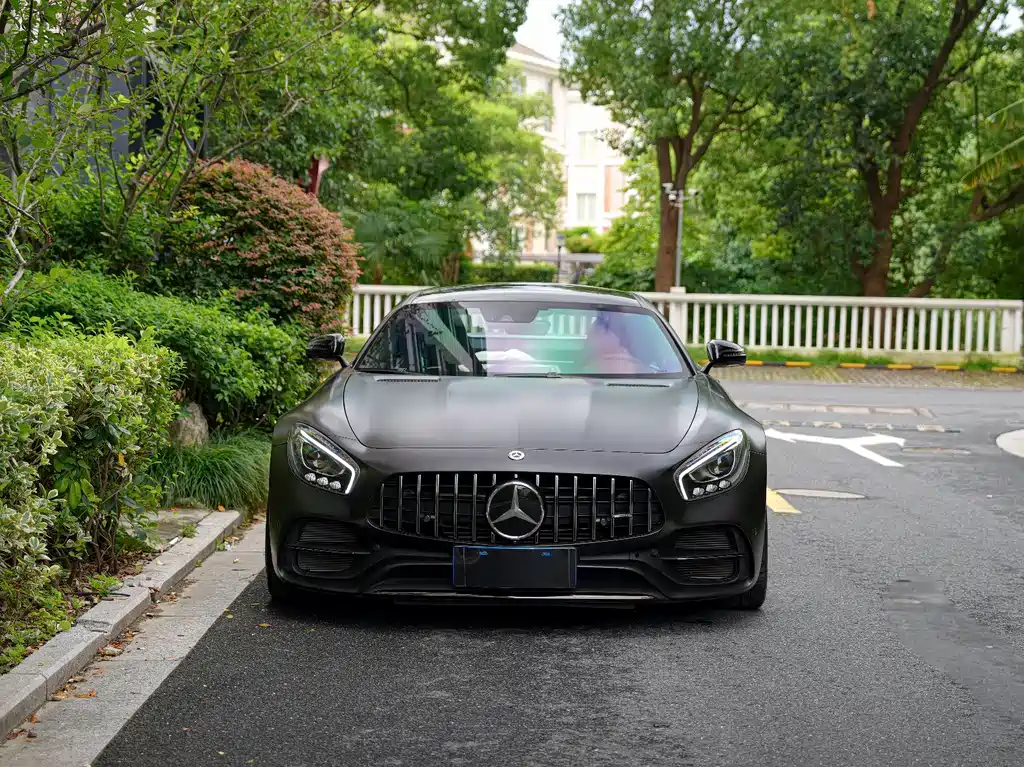 Mercedes-Benz AMG GT AMG GT C China Special Edition, фото 3