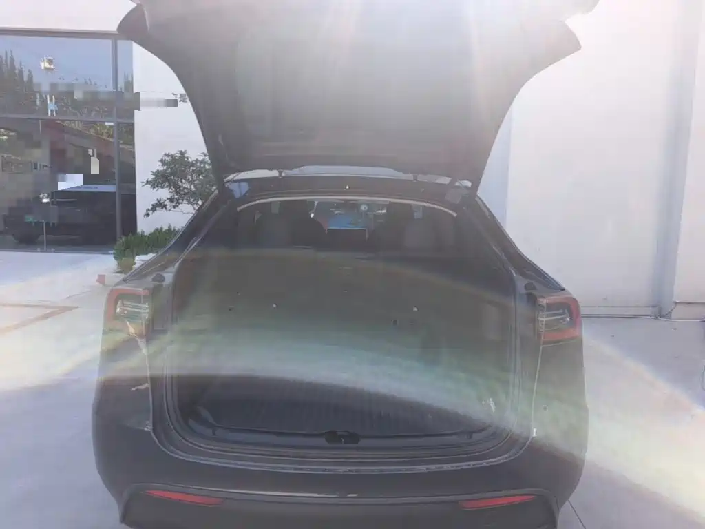 Tesla Model Y — миниатюра 19
