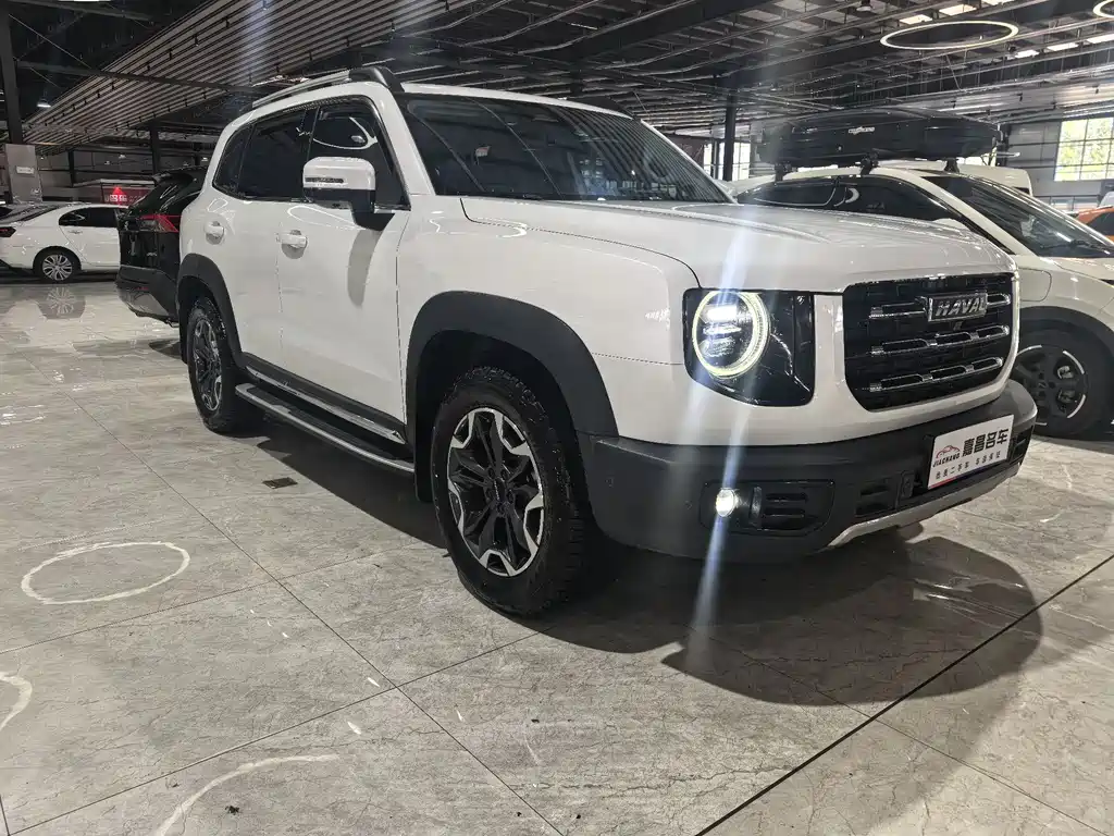 HAVAL BIG DOG