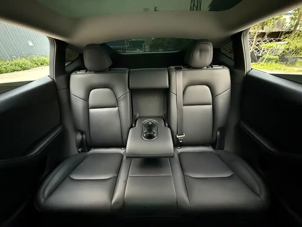 Tesla Model Y — миниатюра 8