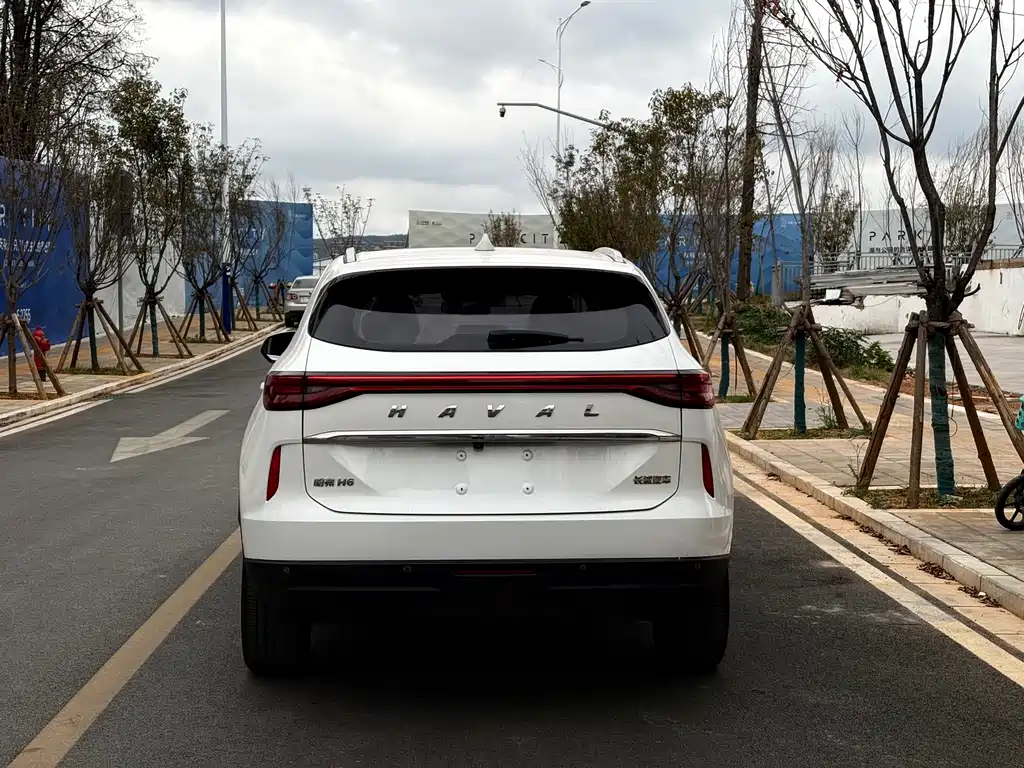 Haval H6 — миниатюра 12