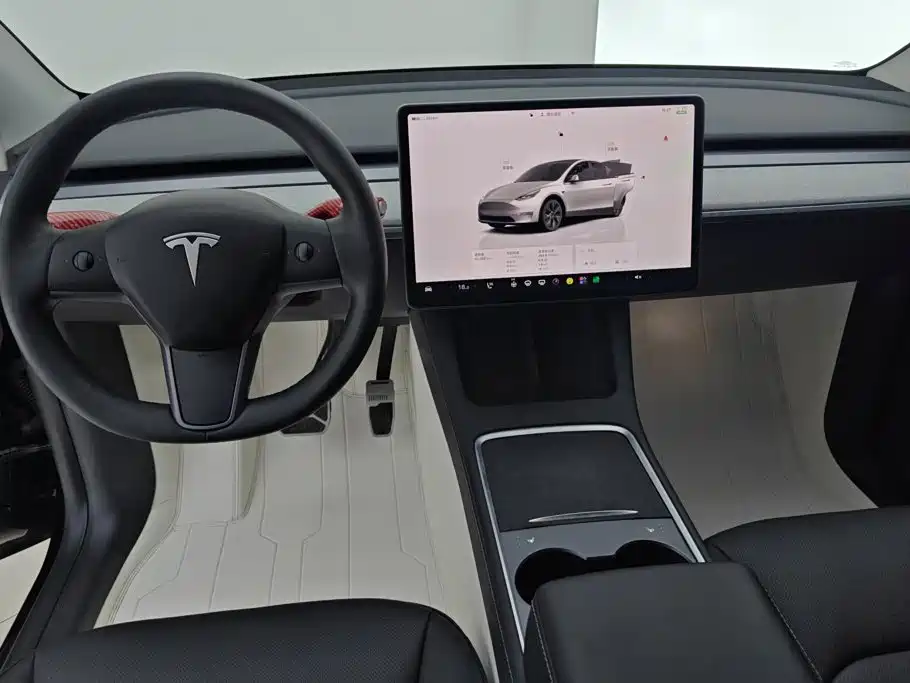 Tesla Model Y — миниатюра 12