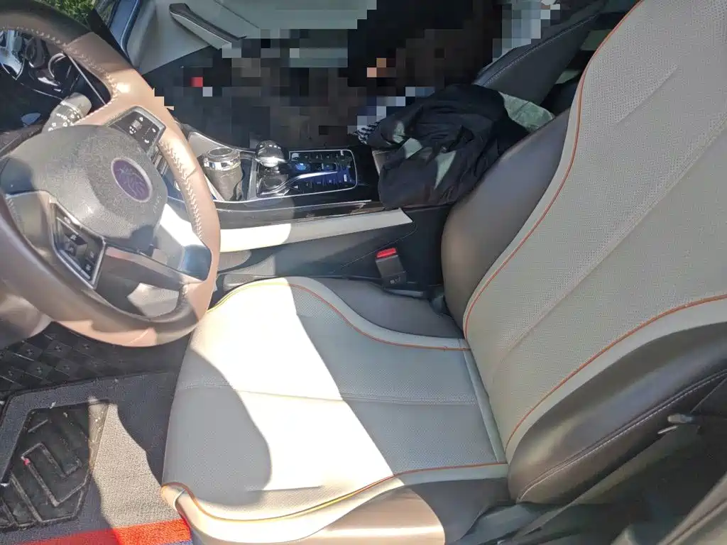 BYD Qin PLUS — миниатюра 11