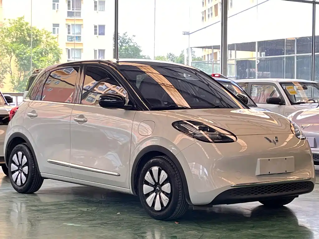 Wuling Binguo 2023 333km +