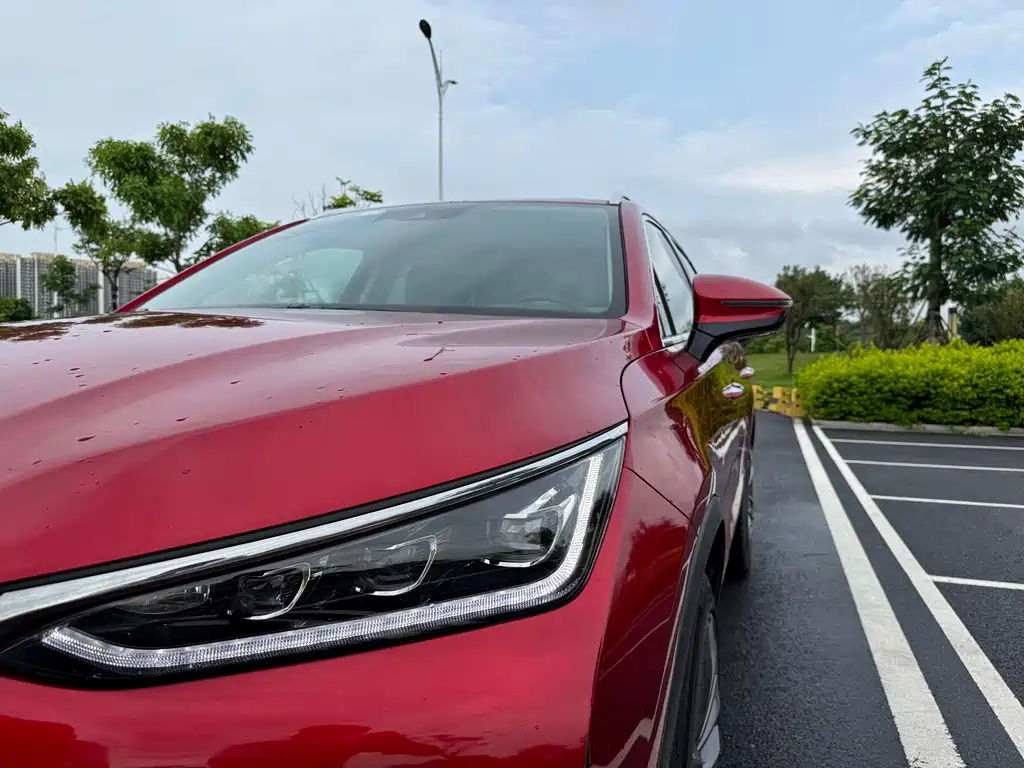 BYD Tang 2019 DM 2.0T 7 мест VI
