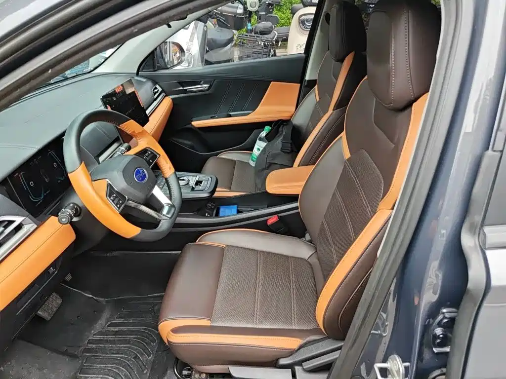 BYD e2 — миниатюра 11