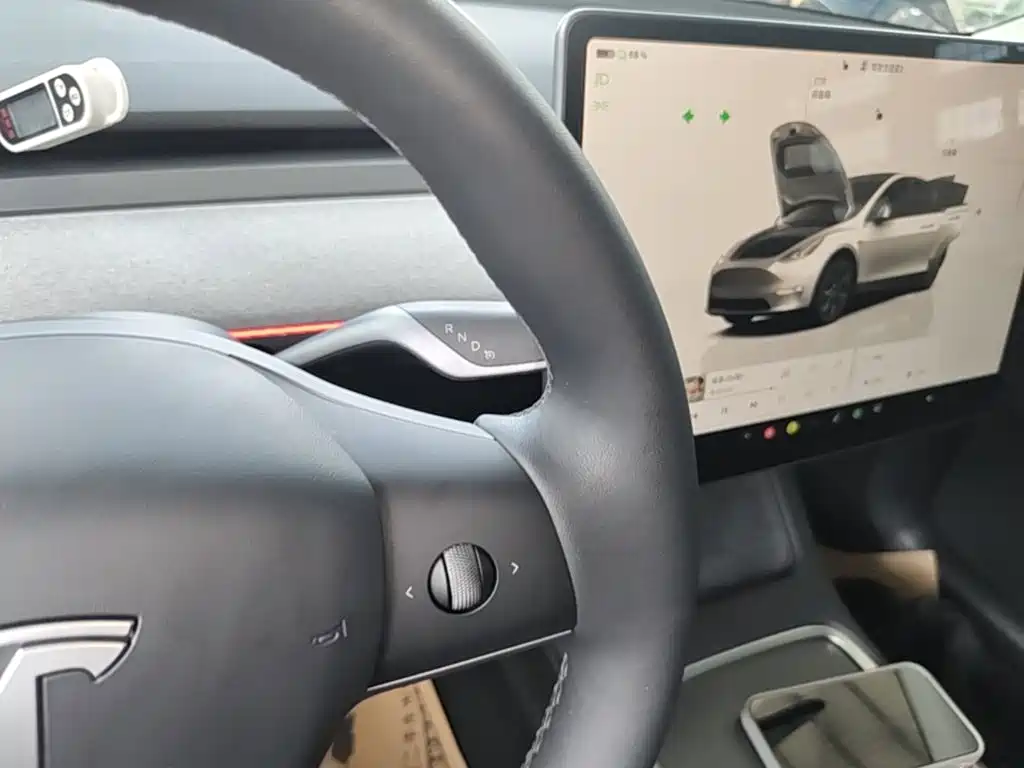Tesla Model Y — миниатюра 14