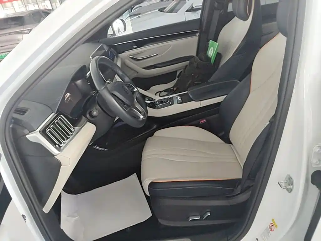 BYD PLUS New Energy — миниатюра 15