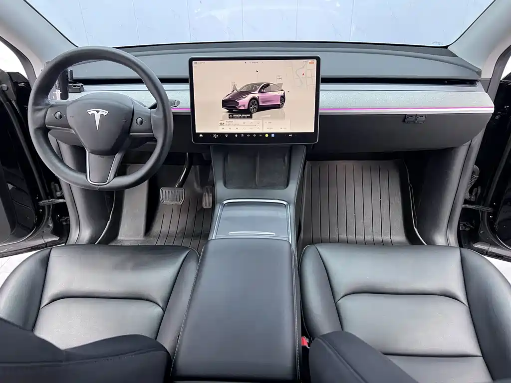 Tesla Model Y — миниатюра 9