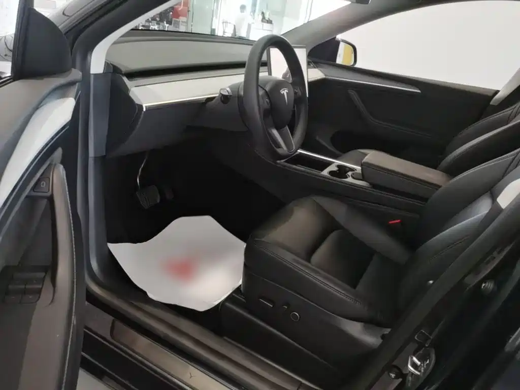 Tesla Model Y — миниатюра 15