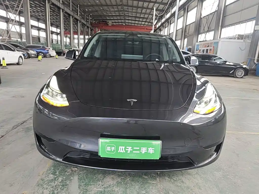 Tesla Model Y — миниатюра 3