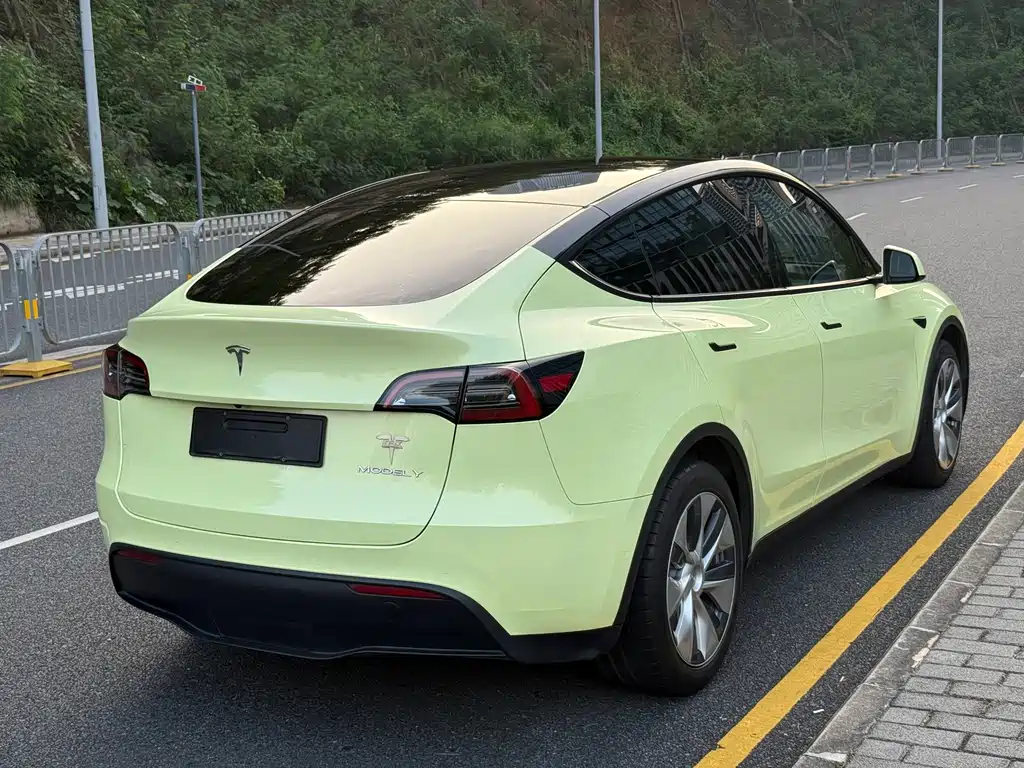 Tesla Model Y — миниатюра 17