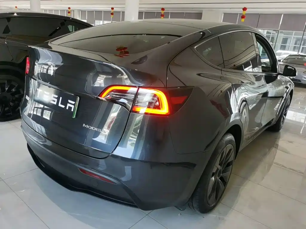 Tesla Model Y — миниатюра 7
