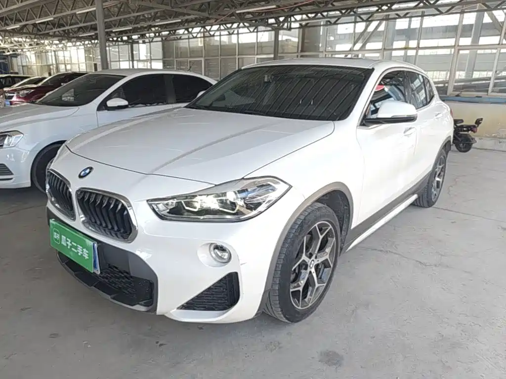BMW X2 (Import) — миниатюра 2