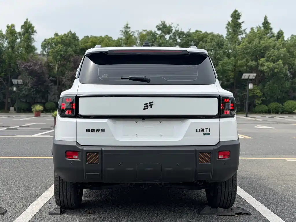 Shanhai Shanhai T1 — миниатюра 6