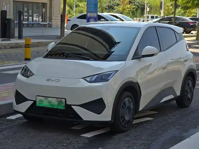 BYD 海鸥