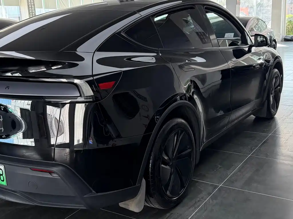 Tesla Model Y — миниатюра 5