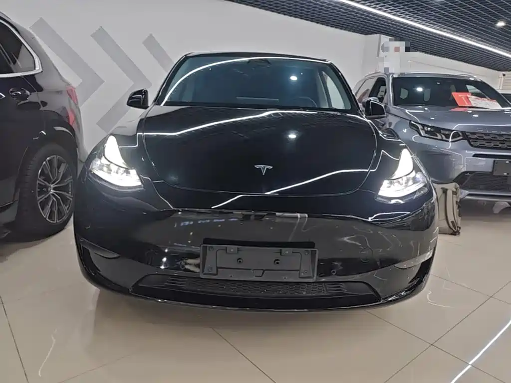 Tesla Model Y — миниатюра 3