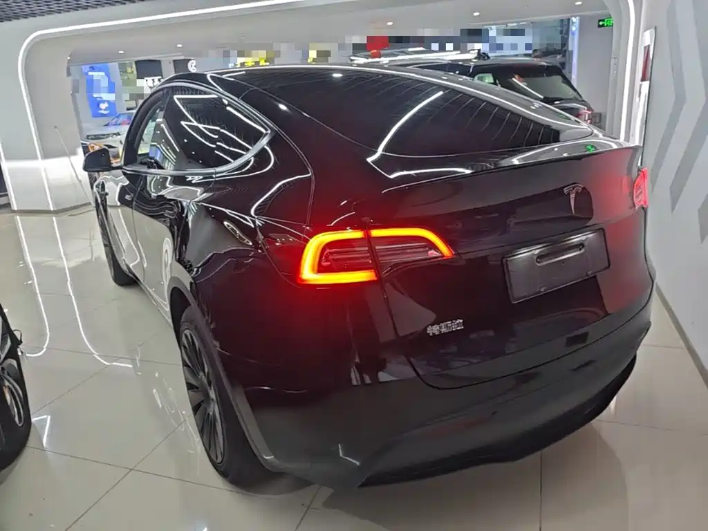 Tesla Model Y — миниатюра 5