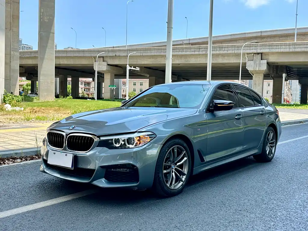 BMW 5 Series (Import) 2019