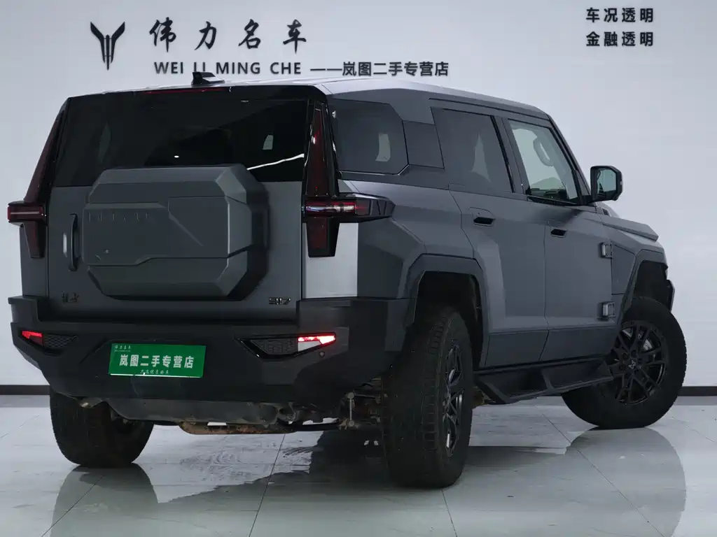 Mengshi Mengshi 917 — миниатюра 26