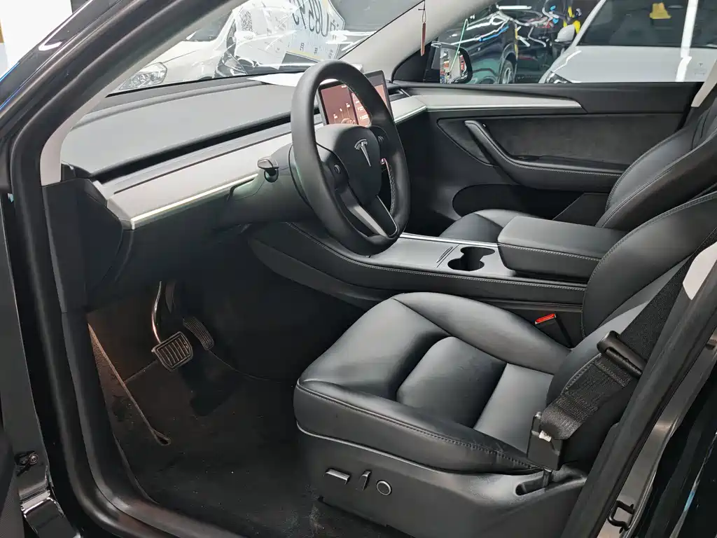 Tesla Model Y — миниатюра 4