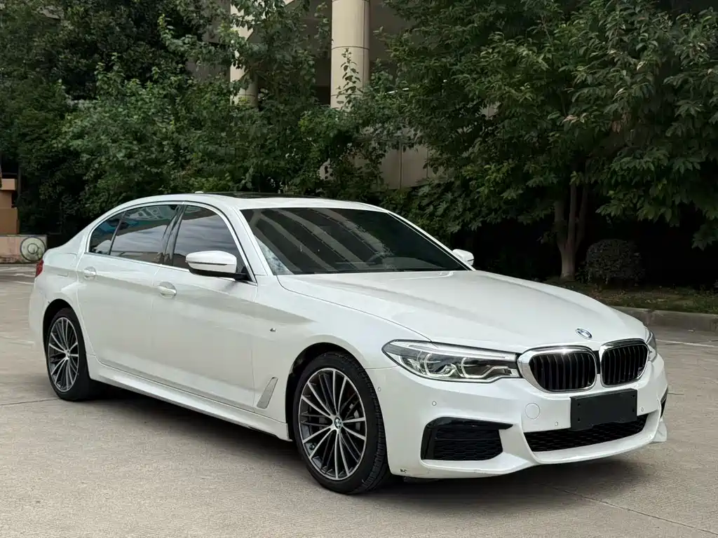 BMW 5 Series — миниатюра 3