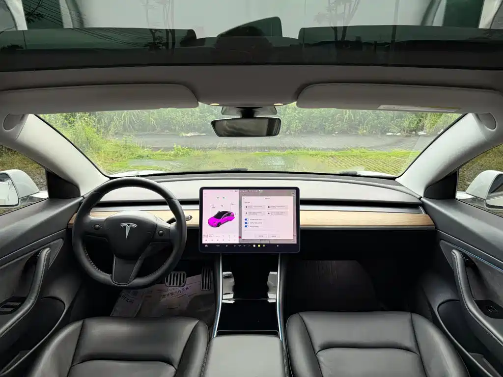 Tesla Model 3 — миниатюра 14