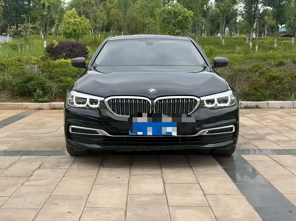 BMW 5 Series 5 2019 530Li Lead Luxury