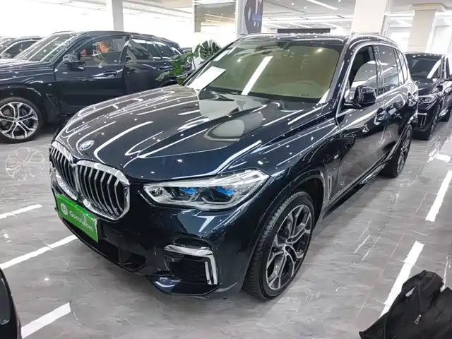 2023 BMW X5