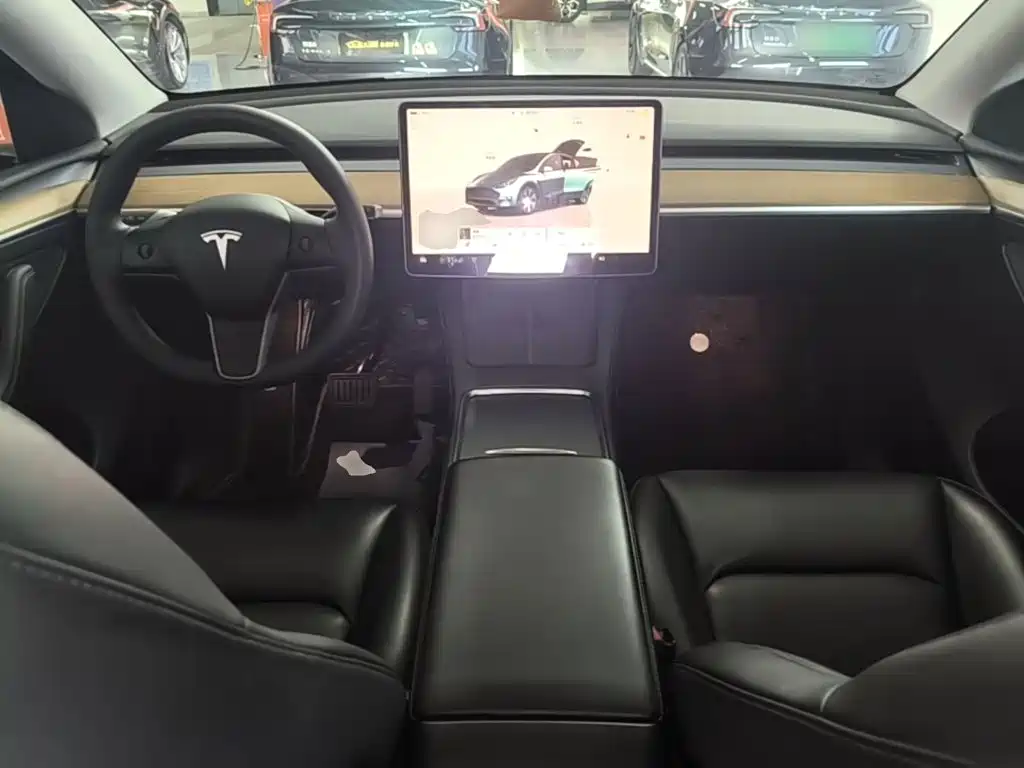 Tesla Model Y — миниатюра 10